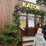 Завтра в Курске откроют Губернский каток - Курская правда