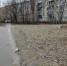 В Курской области стартовала акция «Украсим двор к Новому году!» - Комсомольская Правда