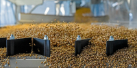 Курская область заняла 3-е место в ЦФО по объему сельхозпродукции - РИА Курск
