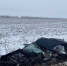 В Курской области рассказали подробности смертельного ДТП под Железногорском - РИА Курск