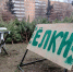 В Железнодорожном округе Курска действует один легальный елочный базар - Курская правда