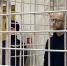 Курских чиновников заставляли подписать липовые акты на очистные сооружения – Васильев - Курские Известия