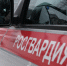 В Курской области росгвардейцы 305 раз за неделю выезжали по сигналу «тревога» - РИА Курск