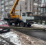 В Курске на улице Халтурина дерево повалило столб на автомобиль - Городские Известия