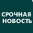 Над Курской областью 11 января уничтожено 3 украинских БПЛА - Городские Известия