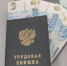 Средняя зарплата в Курской области в прошлом году составила 72 тыс.рублей - Курские Известия
