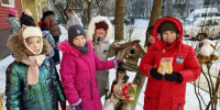 Курские детсадовцы вместе с родителями сходили на экологическую прогулку - Городские Известия