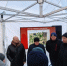 Предприниматель Сергей Слабунов готов отказаться от размещения парка альпак в Курске - Курская правда