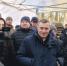 Альпаки раздора - Курская правда