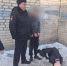 В Курске возбуждено дело после избиения подростка двумя молодыми людьми - РИА Курск