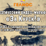 8 февраля Курск отметит 83-ю годовщину освобождения от немецко-фашистских захватчиков. - Город Курск