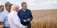 Фермеры Курской области могут рассчитывать на льготные кредиты - Курские Известия
