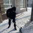 : В Курске объединяют  усилия в борьбе со снежной стихией - Городские Известия