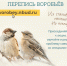 Всероссийская перепись воробьёв «Воробьи на кустах» - Заповедник им. профессора В.В. Алехина