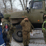 Курские автоинспекторы поздравили военную полицию с профессиональным праздником - Курская правда