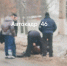 В Курске «Рено Дастер» сбил пешехода - Курские Известия