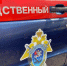 В Курской области пенсионерка обвиняется в убийстве сожителя - Курские Известия
