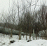 В поселке Горшечном рухнула водонапорная башня - Курские Известия