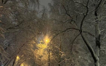 В Курской области 20 и 21 февраля проведут массовые субботники по уборке снега