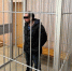 Курский райсуд на два месяца арестовал обвиняемого в убийстве супружеской пары - Курские Известия