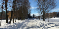 Работников маркетплейсов и супермаркетов в Курске обяжут чистить снег - Курская правда
