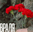 Нажмите для предварительного просмотра изображения - Министерство внутренней и молодежной политики