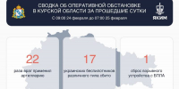 В Курской области за сутки, 24 февраля, сбили 17 украинских беспилотников - Курская правда