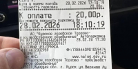 В Курске водители предпочитают нарушать правила парковки - Курские Известия