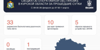 33 украинских БПЛА сбиты за сутки в Курской области - РИА Курск