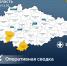 Сводка об оперативной обстановке в Курской области - Газета Сельская новь