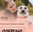 1 форум. 3 смены. Сотни смыслов. Ваш июль в «Добрино» - Министерство внутренней и молодежной политики