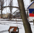 В Курске прошла акция «Весенняя кормушка» - Курские Известия