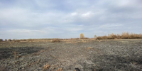 Курские спасатели проверяют районы перед пожароопасным сезоном - Курские Известия