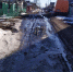 В Курской области 22 марта ожидается тепло до 10 градусов - Курские Известия