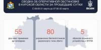 В Курской области за сутки сбили 80 вражеских беспилотников - Курские Известия