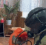 В Курской школе прошло пожарно-тактическое занятие МЧС - Городские Известия