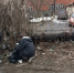 В Курске собрали 3 кубометра мусора на двух улицах в Железнодорожном округе - РИА Курск