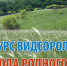 Конкурс видеороликов «Природа родного края» - Заповедник им. профессора В.В. Алехина