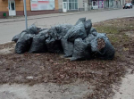 В Курской области увеличили штрафы за содержание территорий
