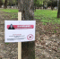 В Курске запланирована акарицидная обработка парков - ТК ТАКТ