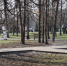 Первомайский парк Курска закрыли на сутки для обработки от клещей - Курская правда