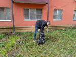 Редакция РИА «Курск» присоединилась к первому общегородскому субботнику