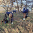 В Курске прибрали на Конорева, Комарова, Союзной и 1-й Агрегатной - Городские Известия