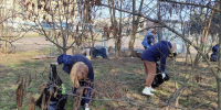 В Курске прибрали на Конорева, Комарова, Союзной и 1-й Агрегатной - Городские Известия