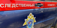 В Курске Следственный комитет возбудил уголовное дело по факту нападения собаки на несовершеннолетнюю - Курские Известия