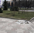 Куряне просят закрыть парк имени 1 Мая из-за свалки и провалов грунта - Городские Известия