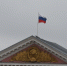 5 граждан Египта покинули Россию под контролем курских приставов - РИА Курск