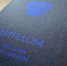 Куда поступить, чтобы стать дизайнером - Vkurske.Com