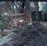В Курске берег реки Сейм разрушен экскаватором - Курские Известия