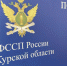 Курянка за один день получила 12 протоколов от судебных приставов - Курские Известия